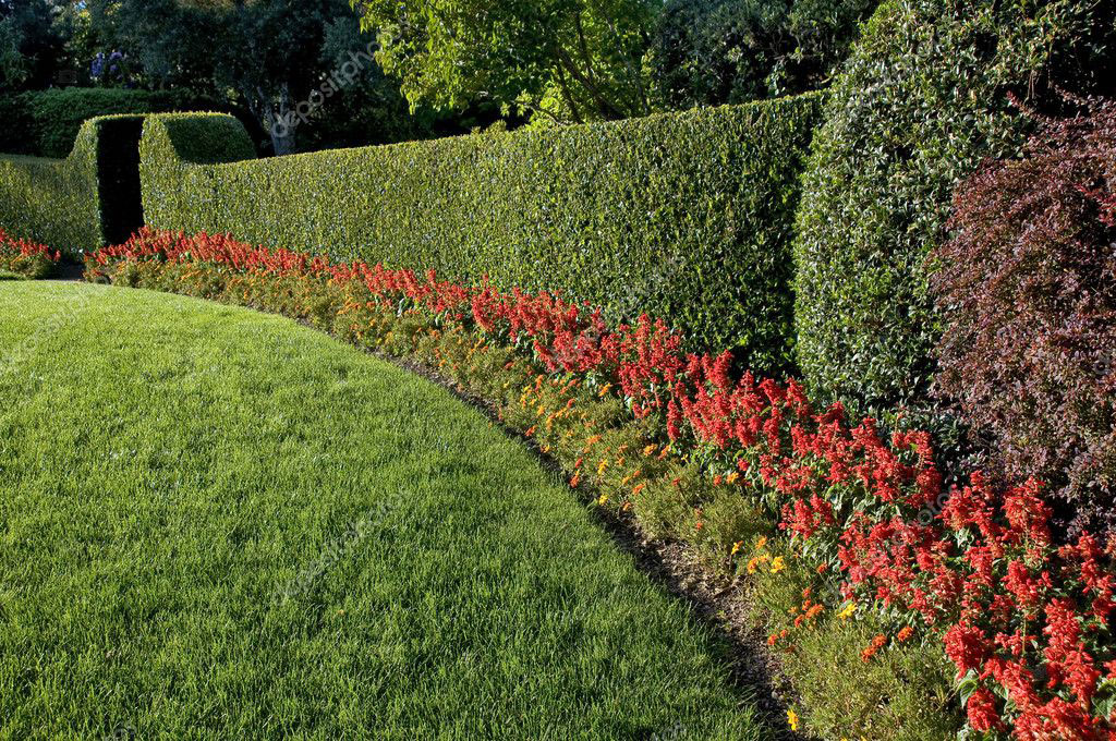 Landscape hedge installation with flowering shrubs for natural privacy