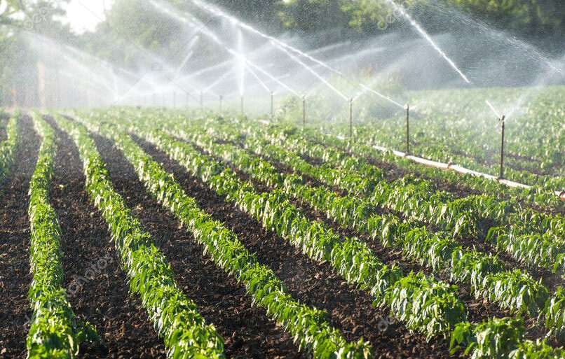 plants with irrigation installed in virginia