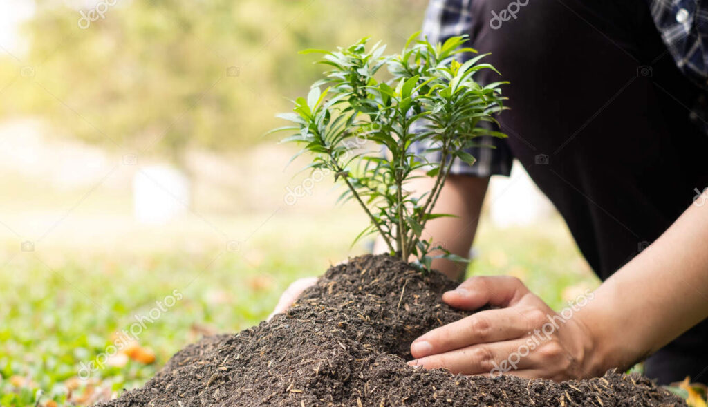 green team builder staff member planting a tree in Virginia